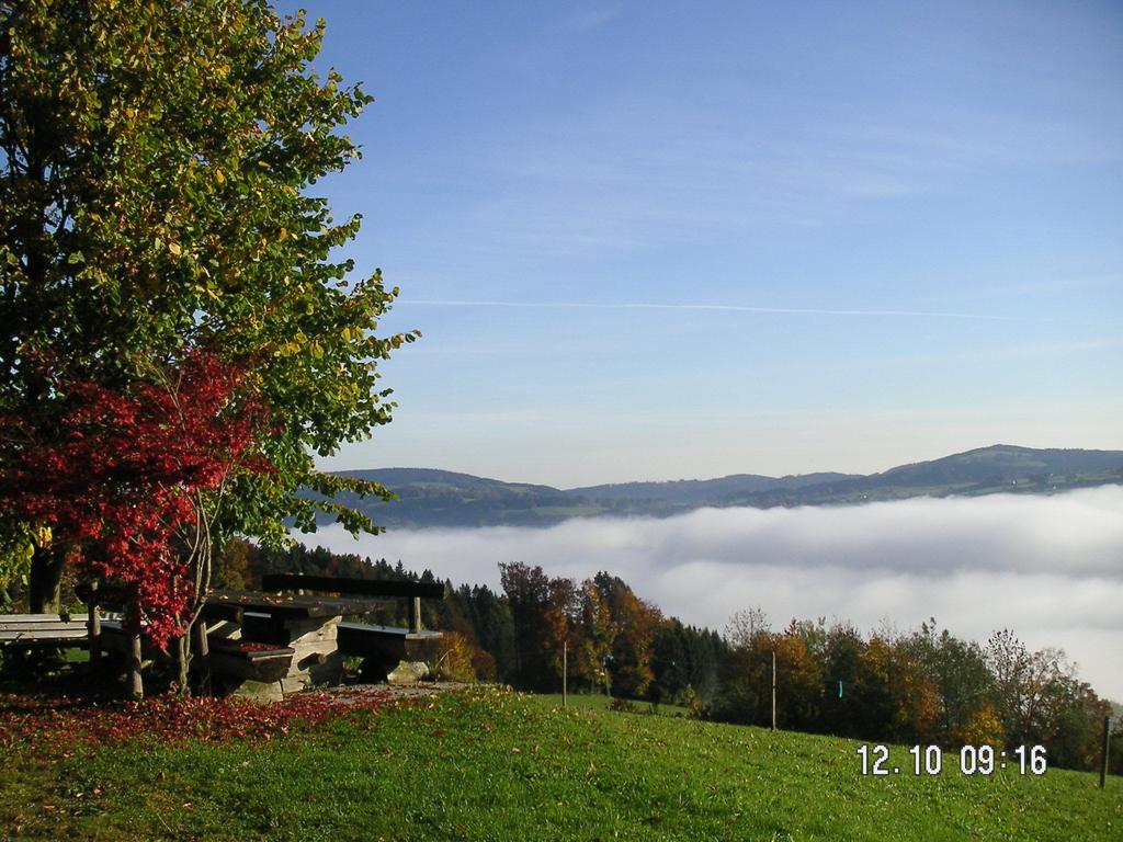 Hochsernerhof Hotel Tiefgraben Luaran gambar