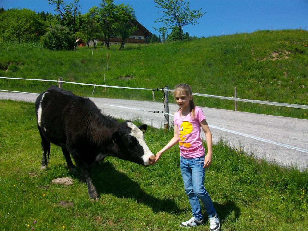 Hochsernerhof Hotel Tiefgraben Luaran gambar